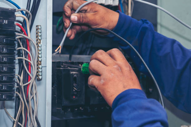 Best Electric Panel Repair  in Chilton, WI