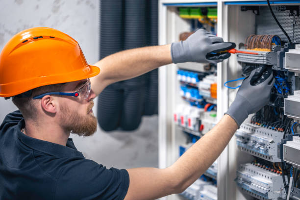 Best Electric Panel Repair  in Chilton, WI